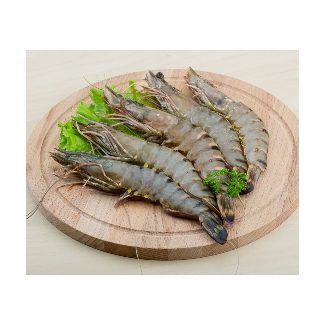 ANDU Gambas B/T 13/15 - 1kg Frocean