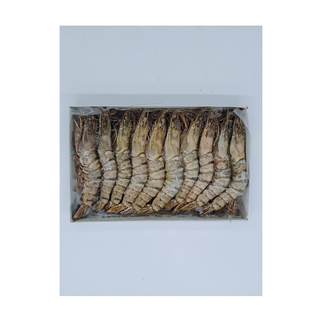 ANDU Gambas B/T 16/20 - 1kg Frocean
