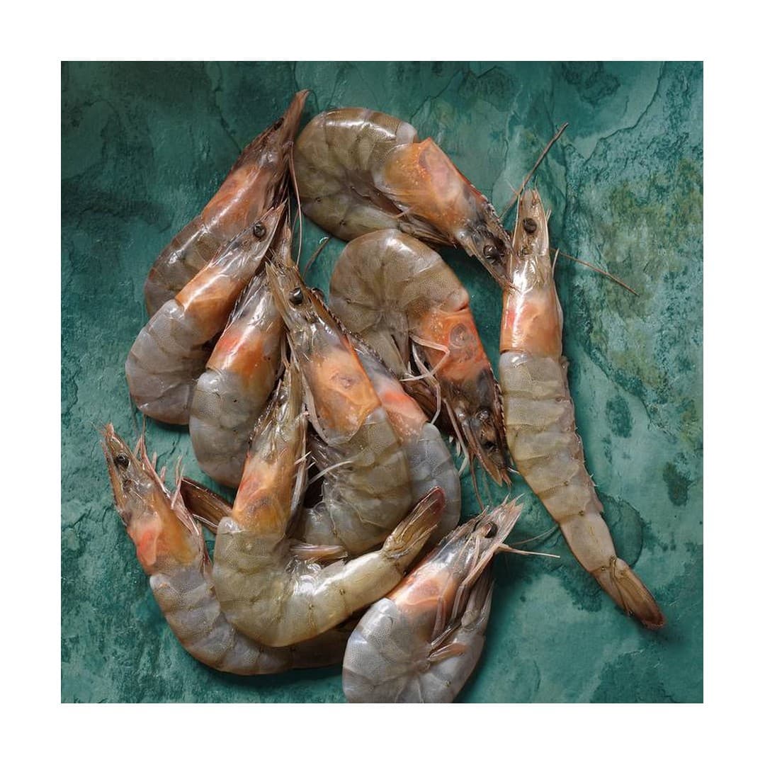 ANDU Gambas B/T 21/30 - 1kg Frocean