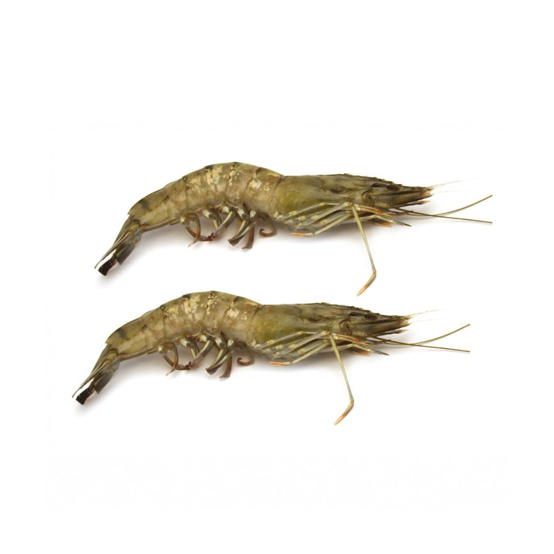 ANDU Gambas B/T 4/6 - 1kg Platinium