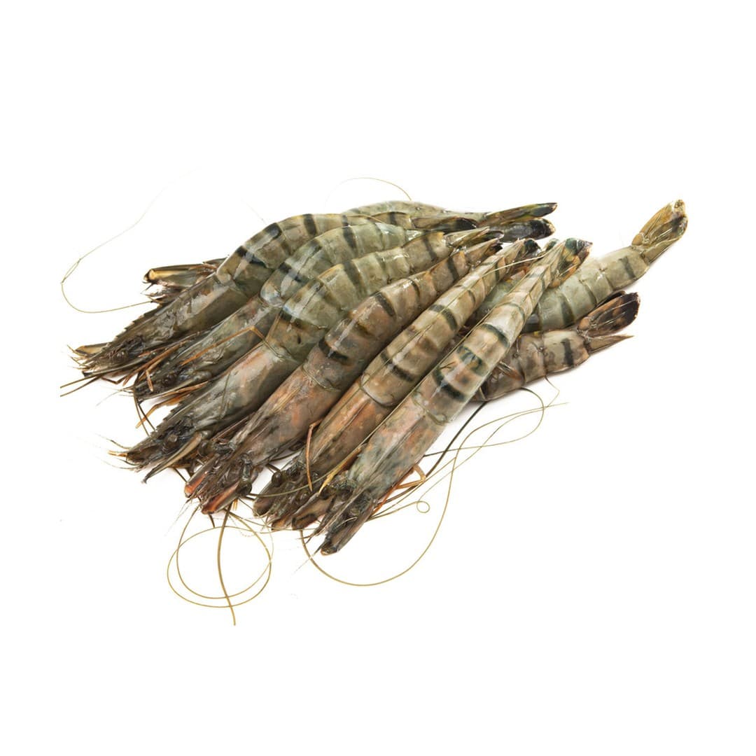 ANDU Gambas B/T 8/12 - 1kg Frocean