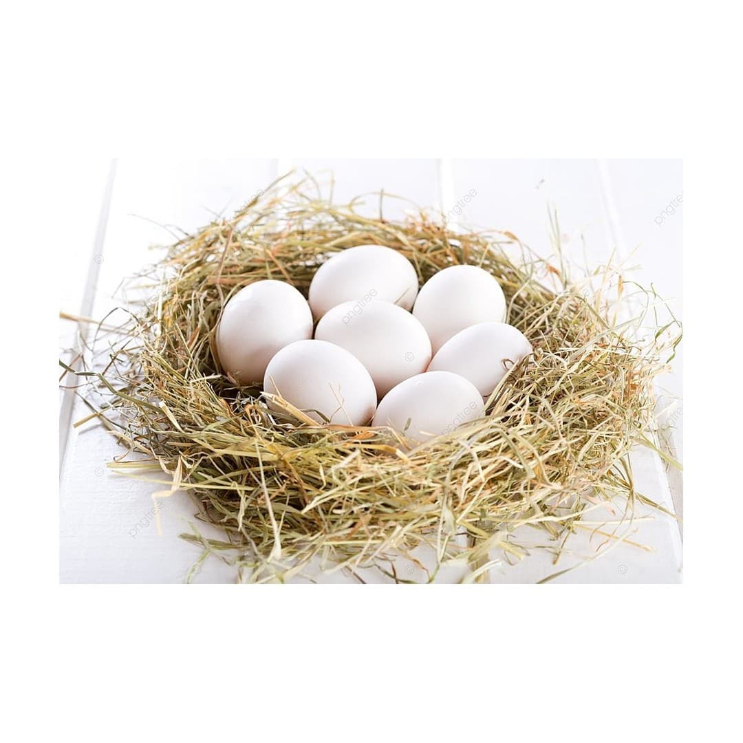 Fresh Hen Eggs Eier, KL. A, Weiß, Gr. M, 180er Box