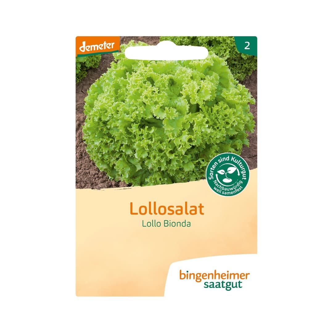 Lollo Bionda grün 9er - Kivircik Salata