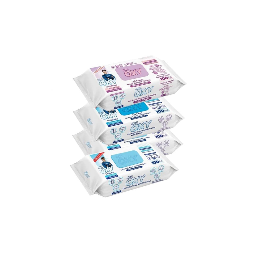 Mr Oxy Feuchttücher Easy Clean vers. Sorten 100er Pack