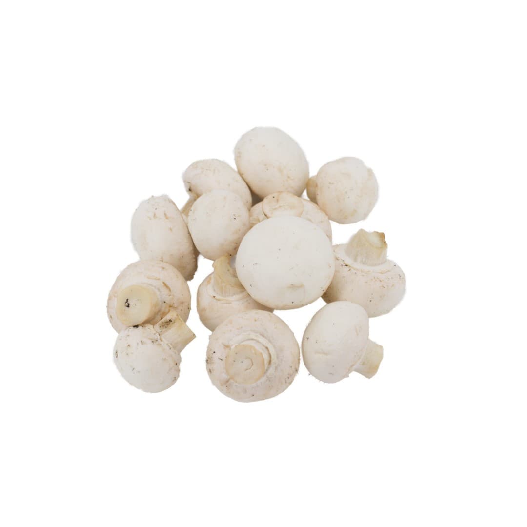 Pilze 3kg