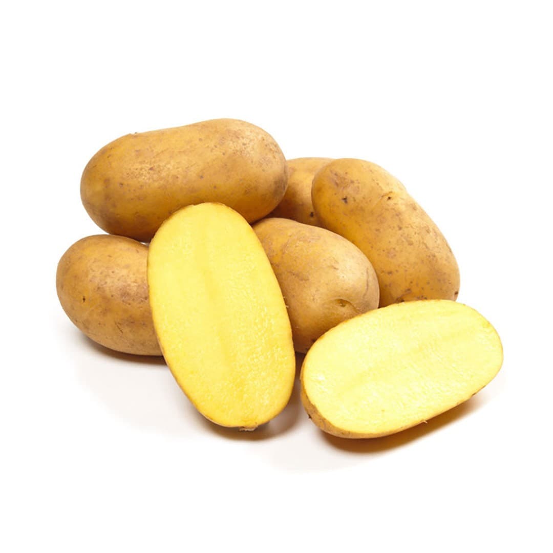 Speisekartoffeln Belana Festkochend Qualität 1 5kg