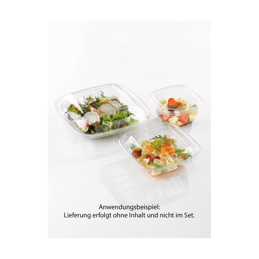 WELPA Salad Schale Bowls 750ml mit Deckel 6x25